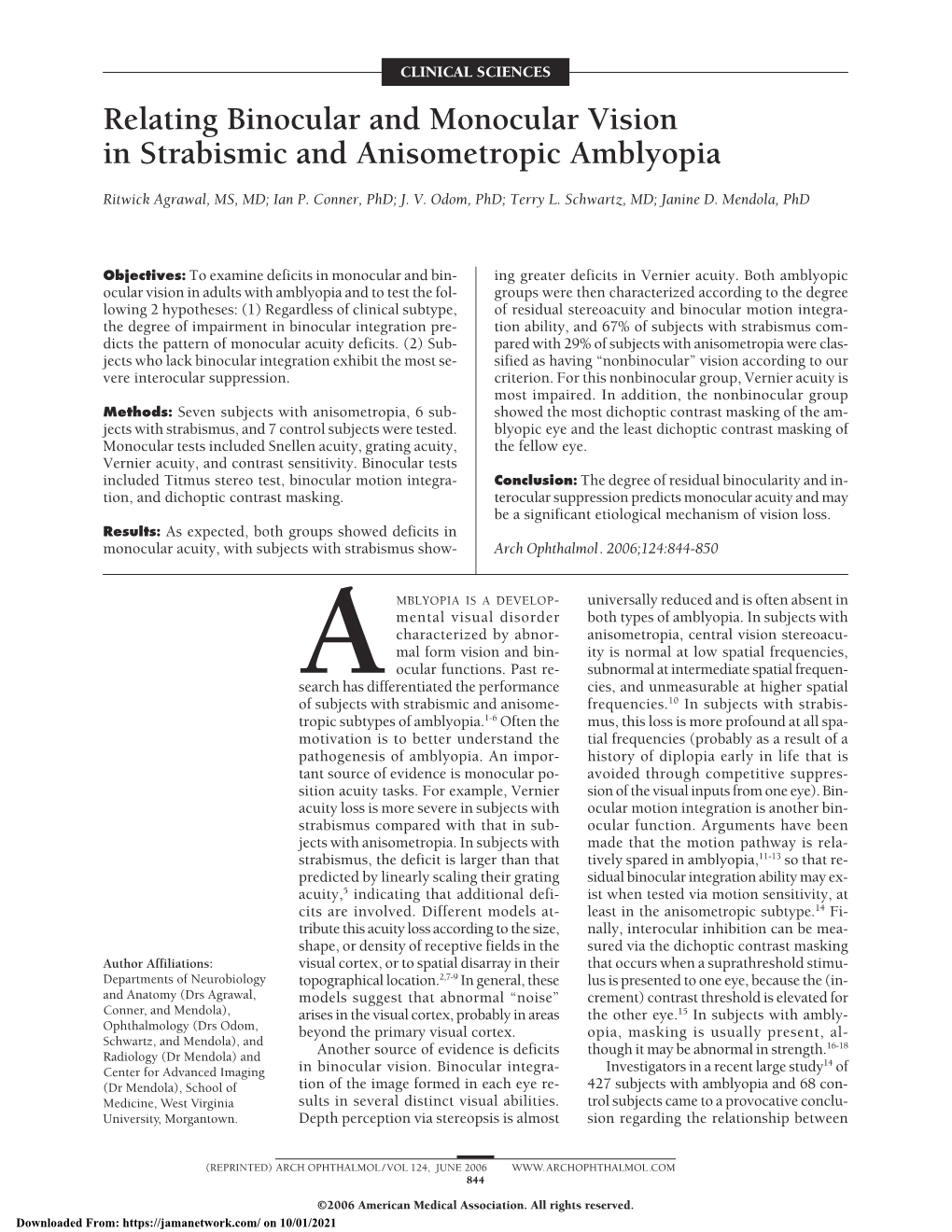 Relating Binocular and Monocular Vision in Strabismic and Anisometropic Amblyopia