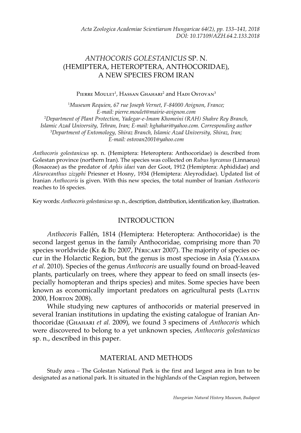 Hemiptera, Heteroptera, Anthocoridae), a New Species from Iran