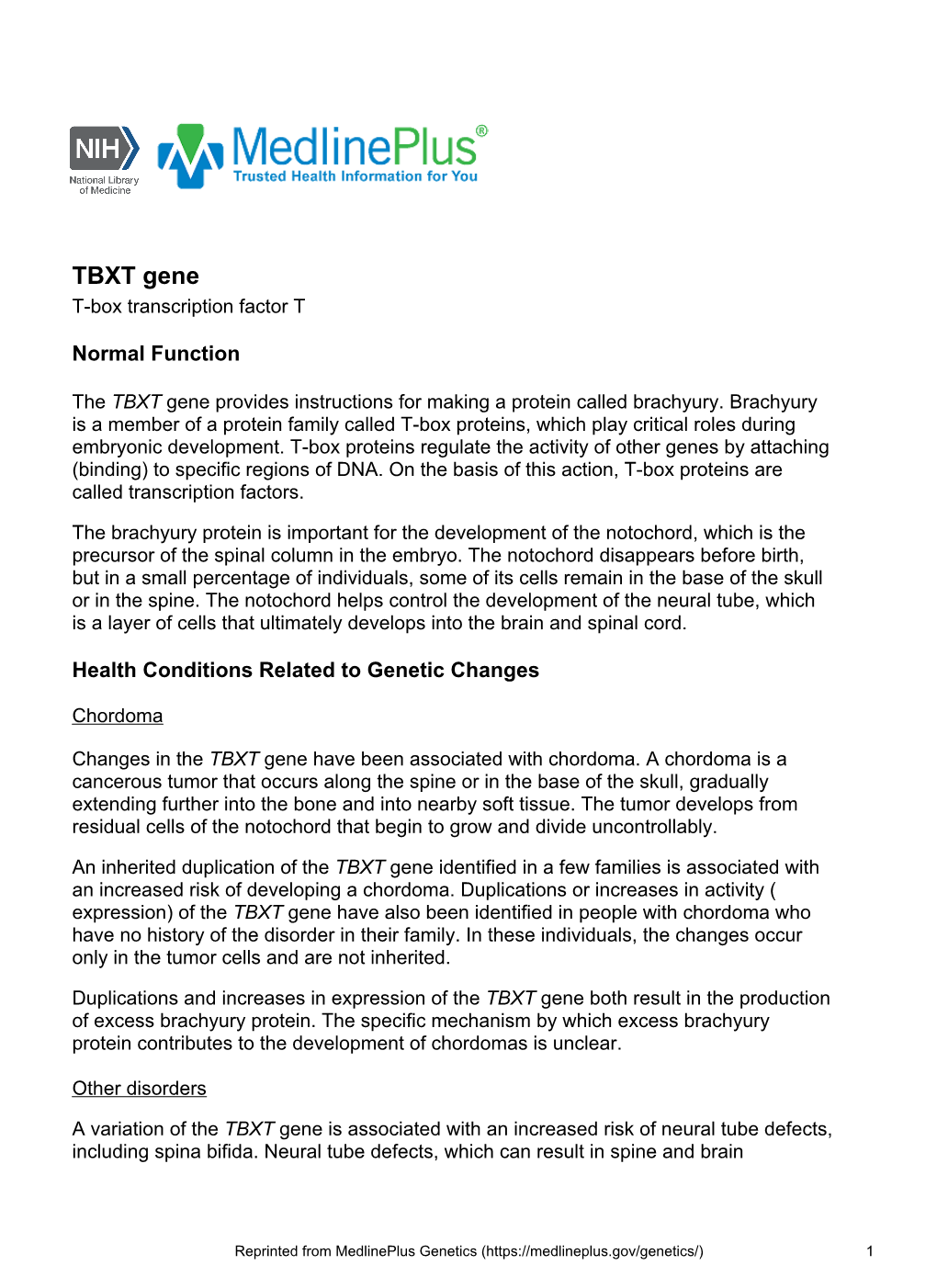 TBXT Gene T-Box Transcription Factor T