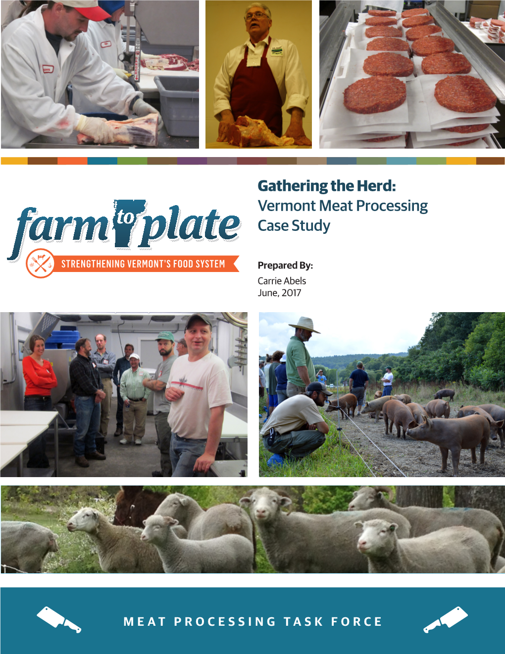 Vermont Meat Processing Case Study