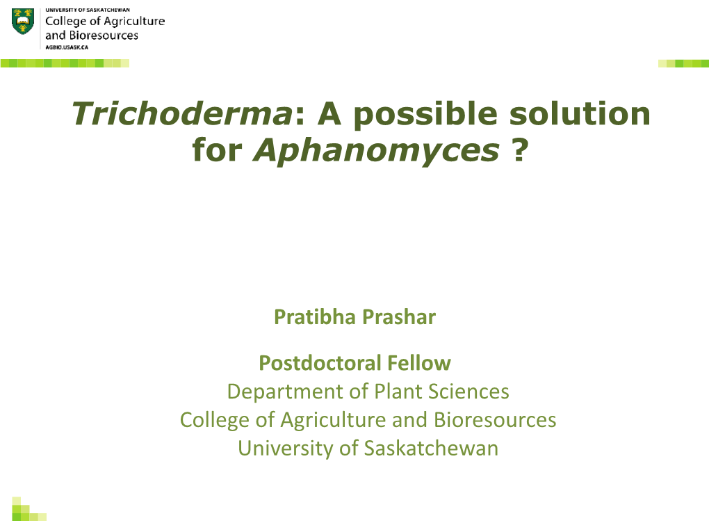 Trichoderma: a Possible Solution for Aphanomyces ?