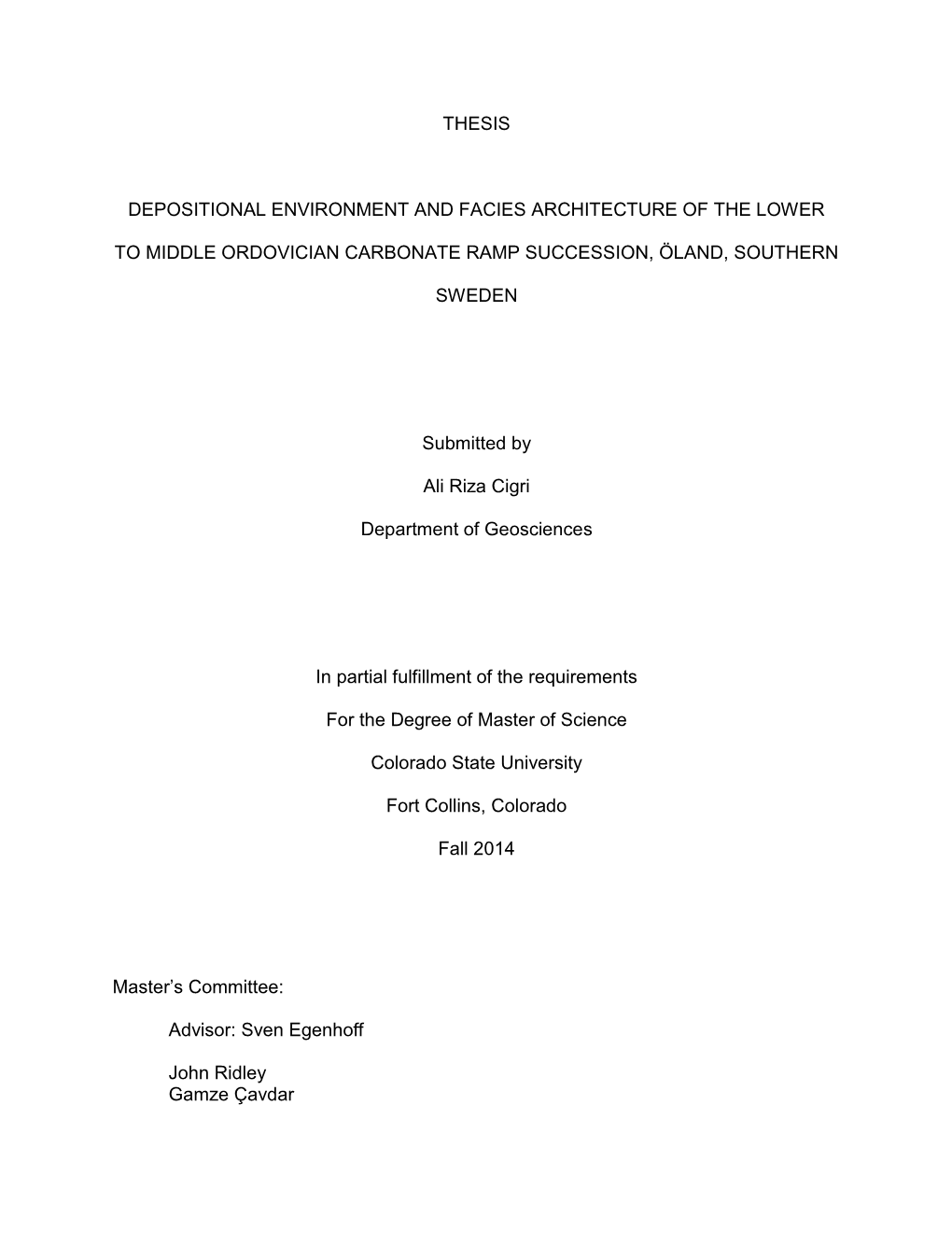 Thesis Depositional Environment and Facies