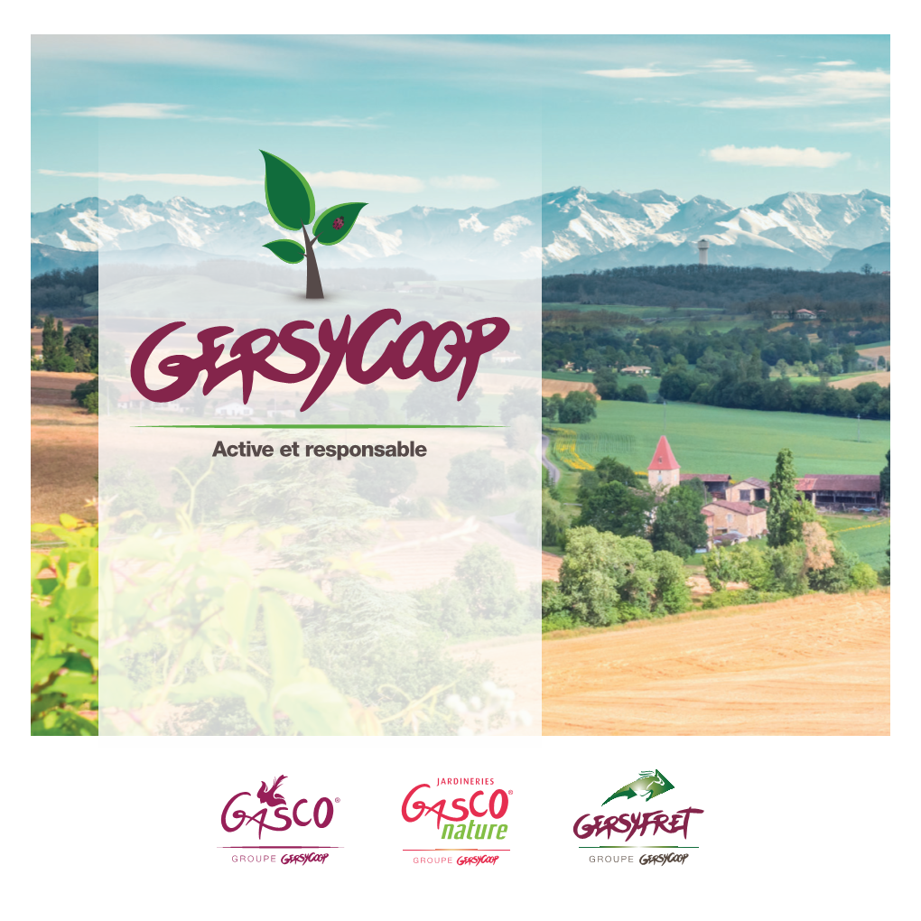 Groupe Groupe Gersois 100% Coop Lentilles Sarrasin