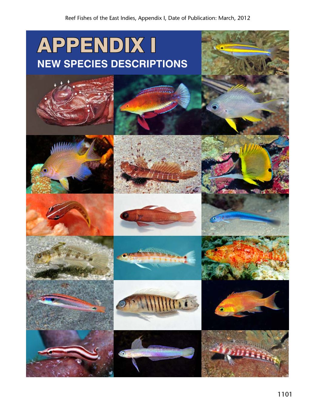 Appendix I, Date of Publication: March, 2012 APPENDIX I NEW SPECIES DESCRIPTIONS