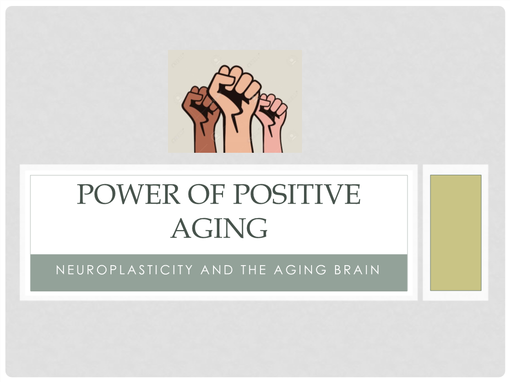 The Aging Brain and Neuroplasticity