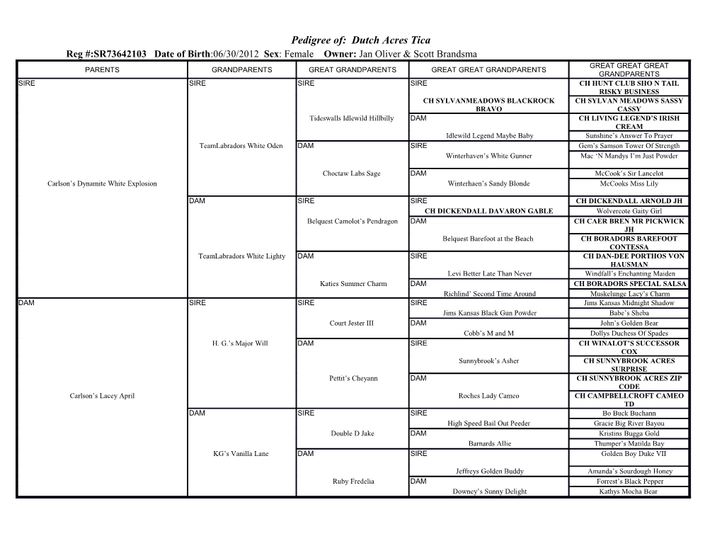 Pedigree Of: Dutch Acres Tica