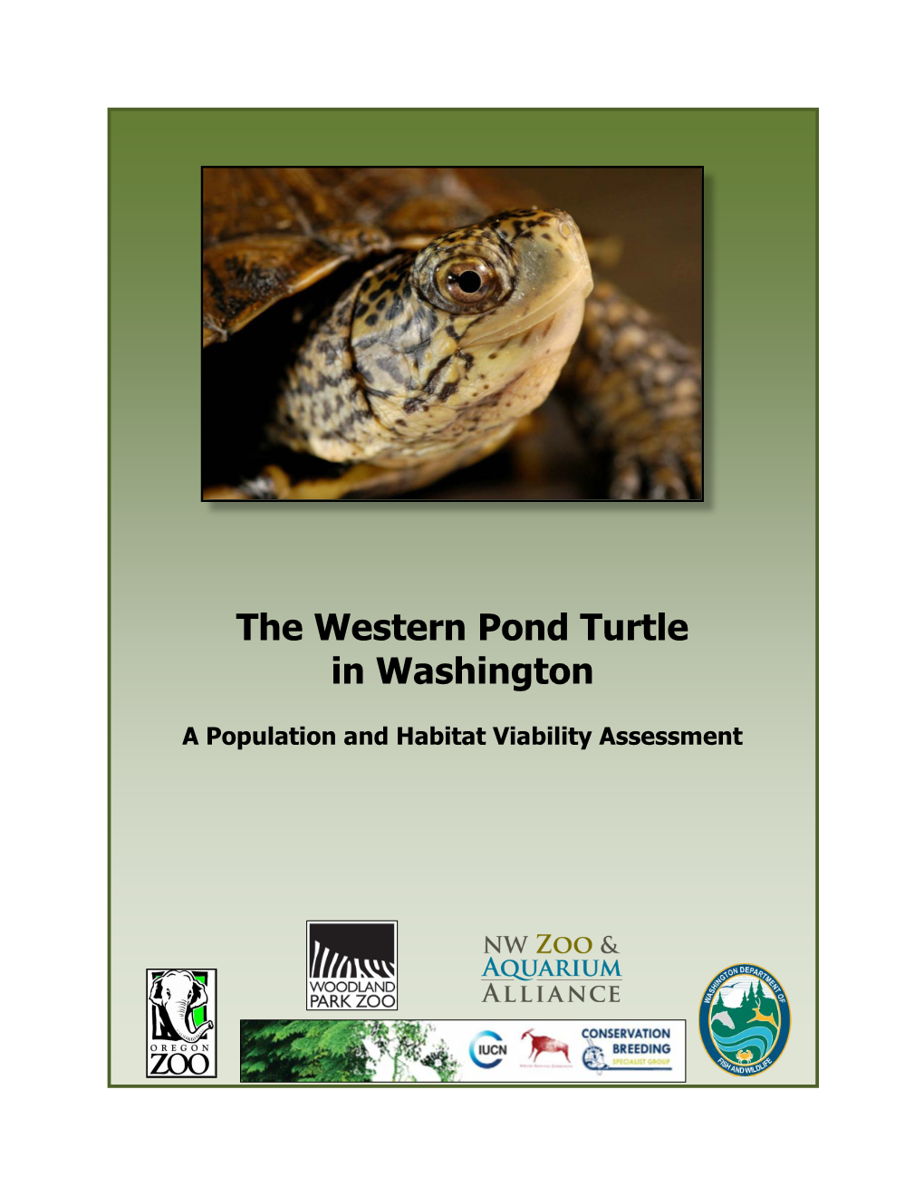 The Western Pond Turtle in Washington