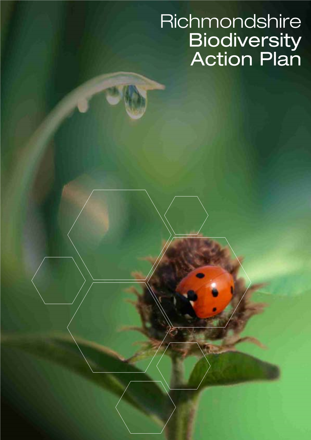 TE016 Richmondshire Biodiversity Action Plan