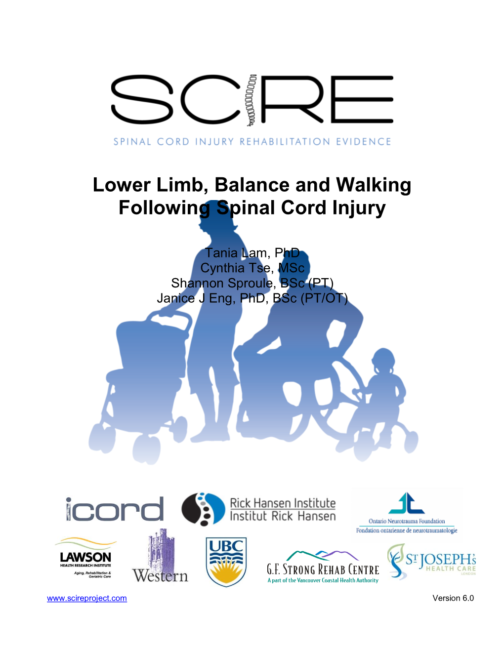 Lower Limb, Balance and Walking Following Spinal Cord Injury