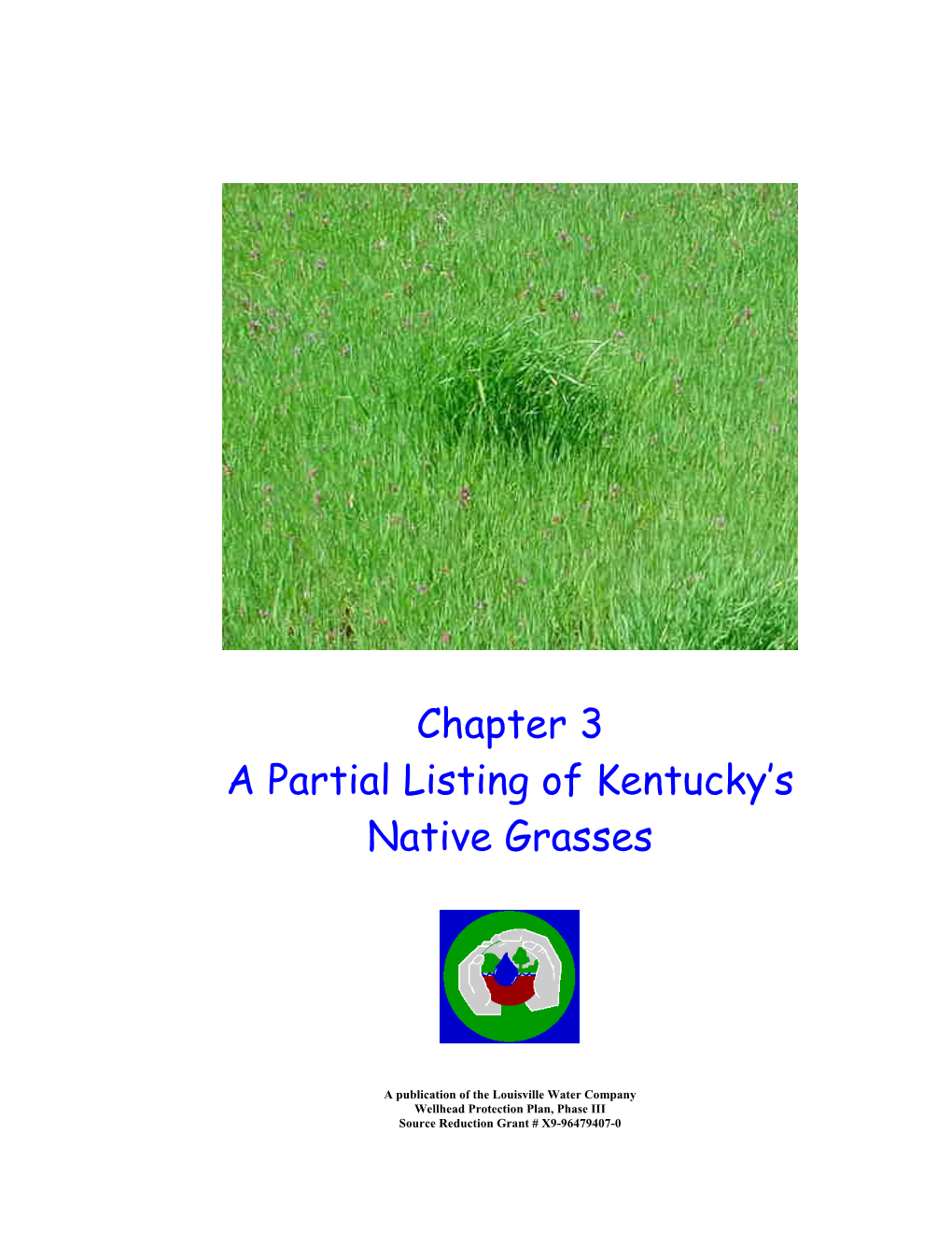 Kentucky Native Grasses