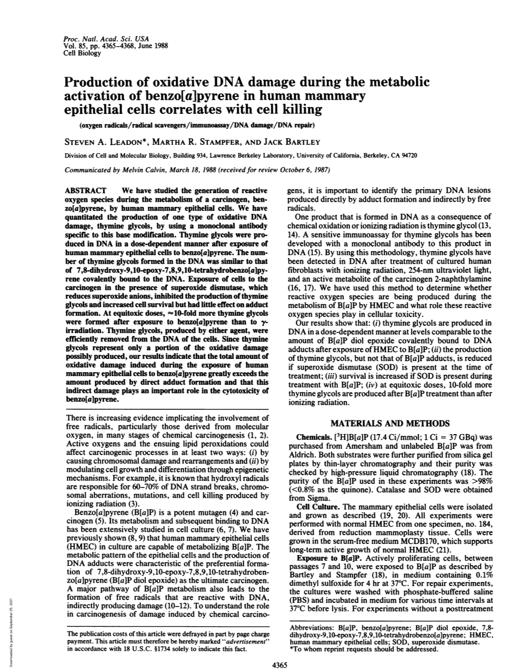 Production of Oxidative DNA Damage During the Metabolic