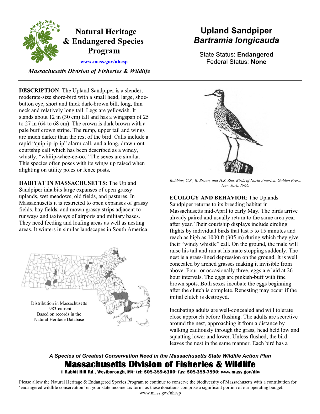 Upland Sandpiper & Endangered Species Bartramia Longicauda