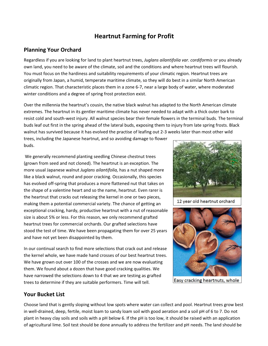 Heartnut Farming for Profit
