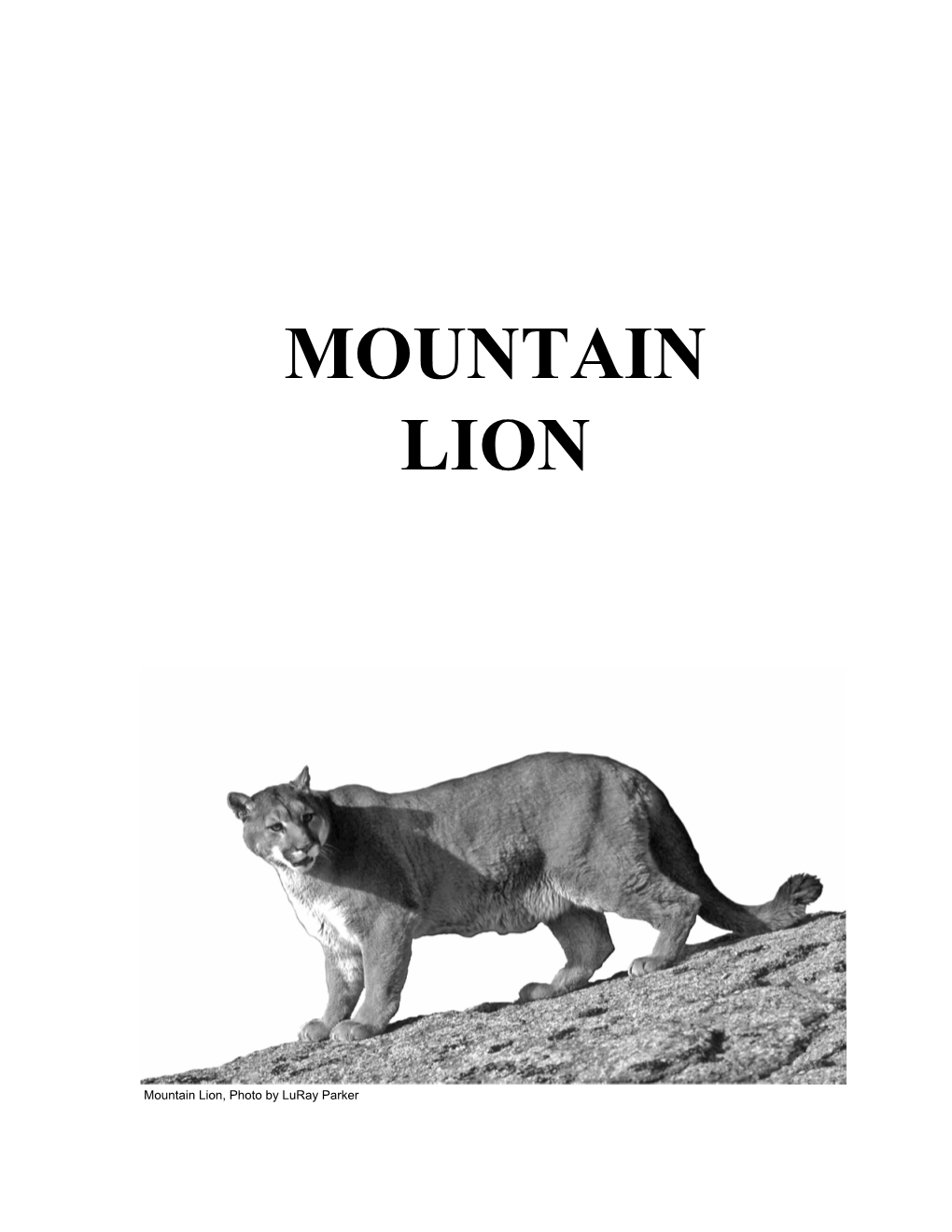 Wyoming 2008-09 Mountain Lion Hunting Harvest Report