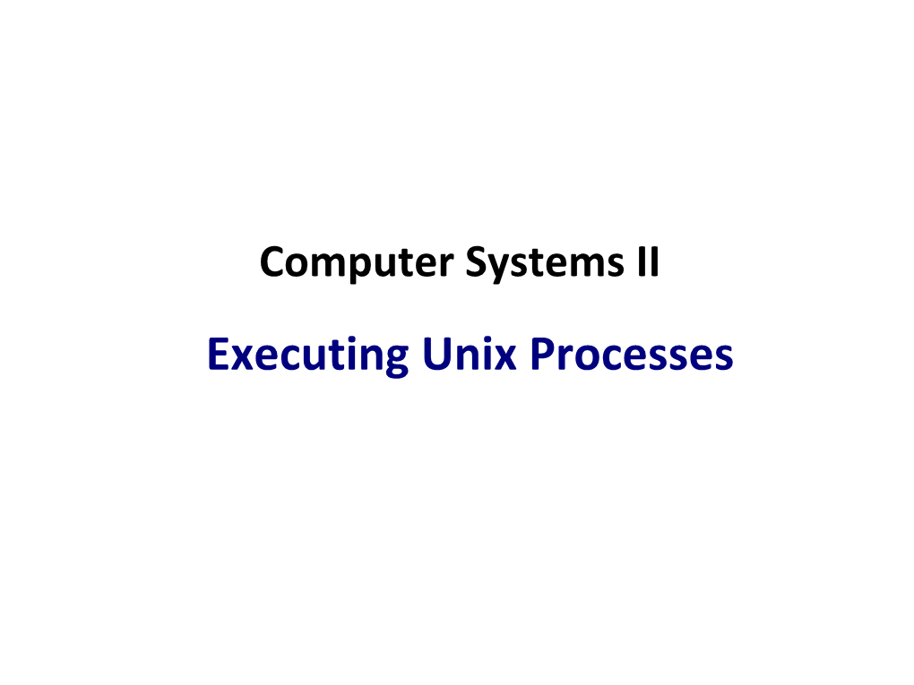 Executing Unix Processes