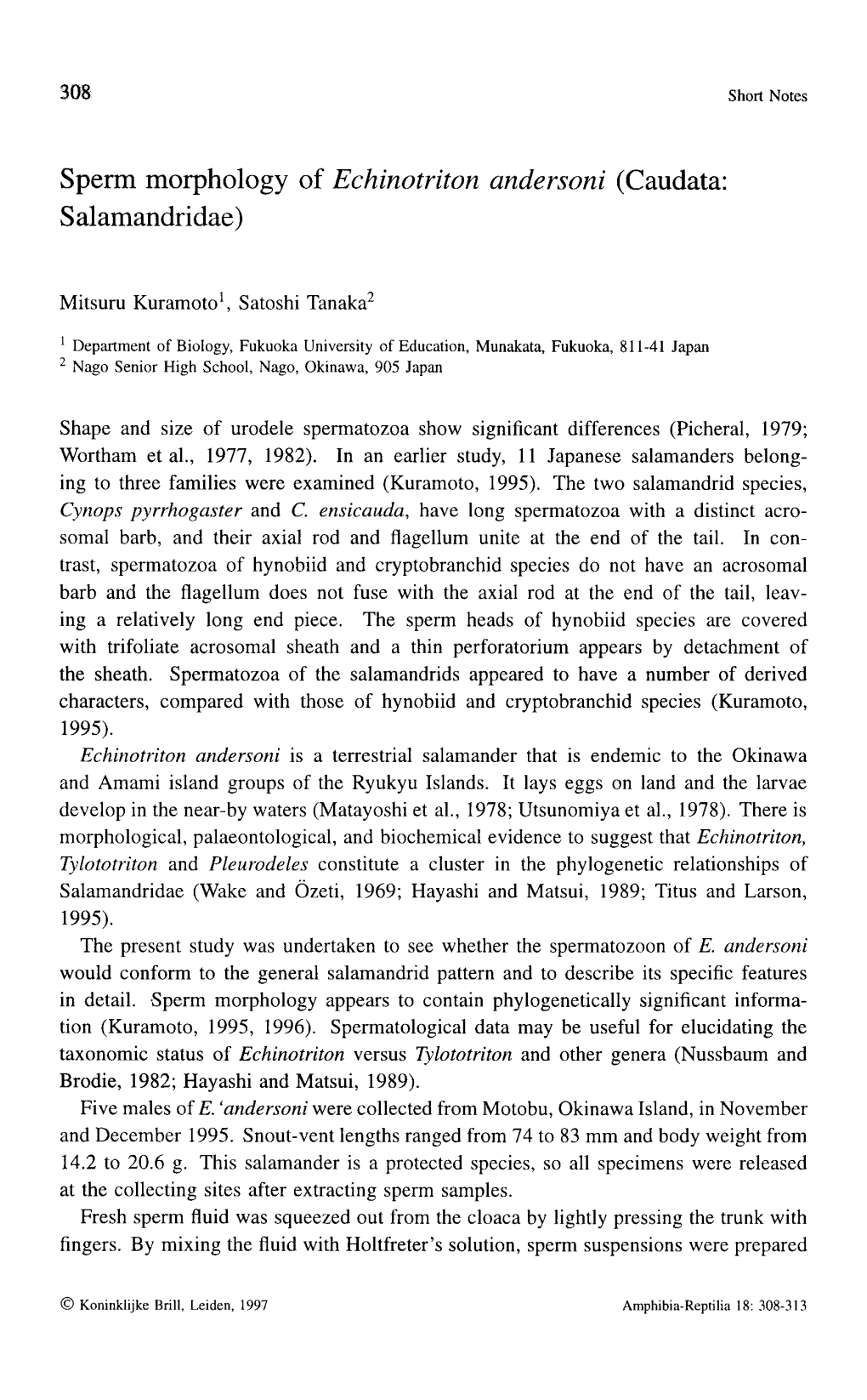 308 Sperm Morphology of Echinotriton Andersoni