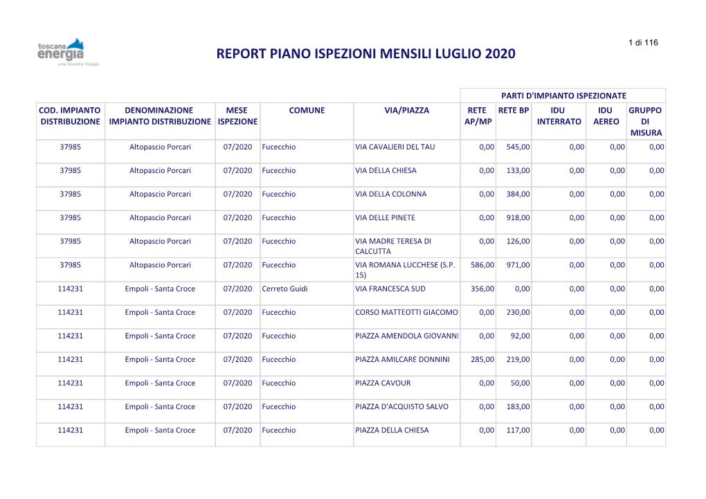 Report Piano Ispez Mensile Luglio 2020