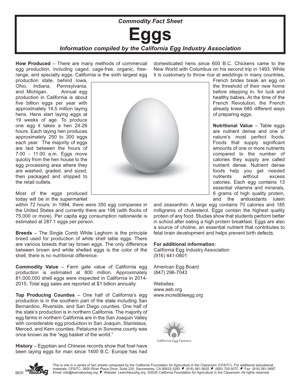 Eggs Fact and Activity Sheet