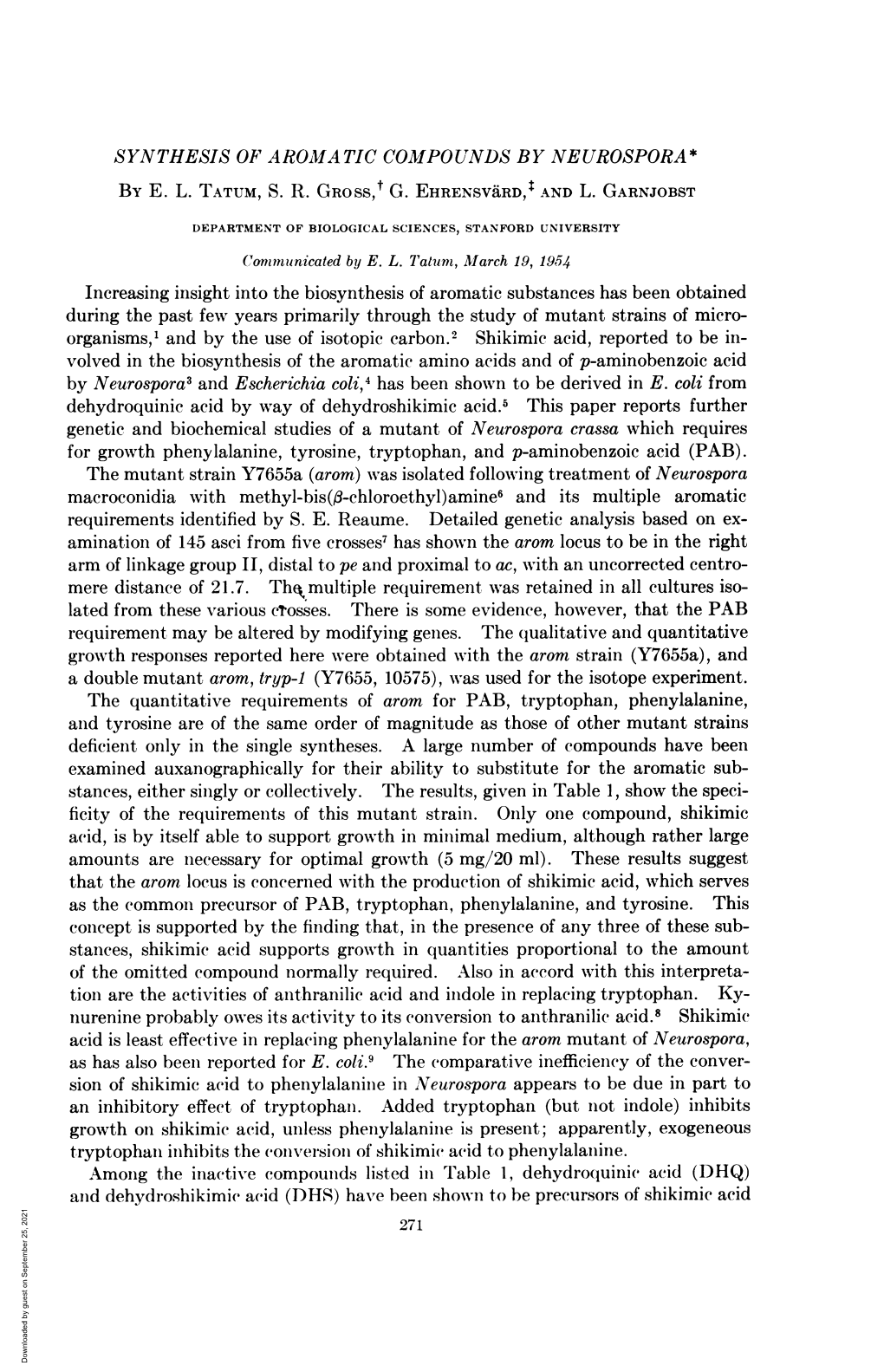 Amine6 and Its Multiple Aromatic and Dehydroshikimic Acid (DHS)