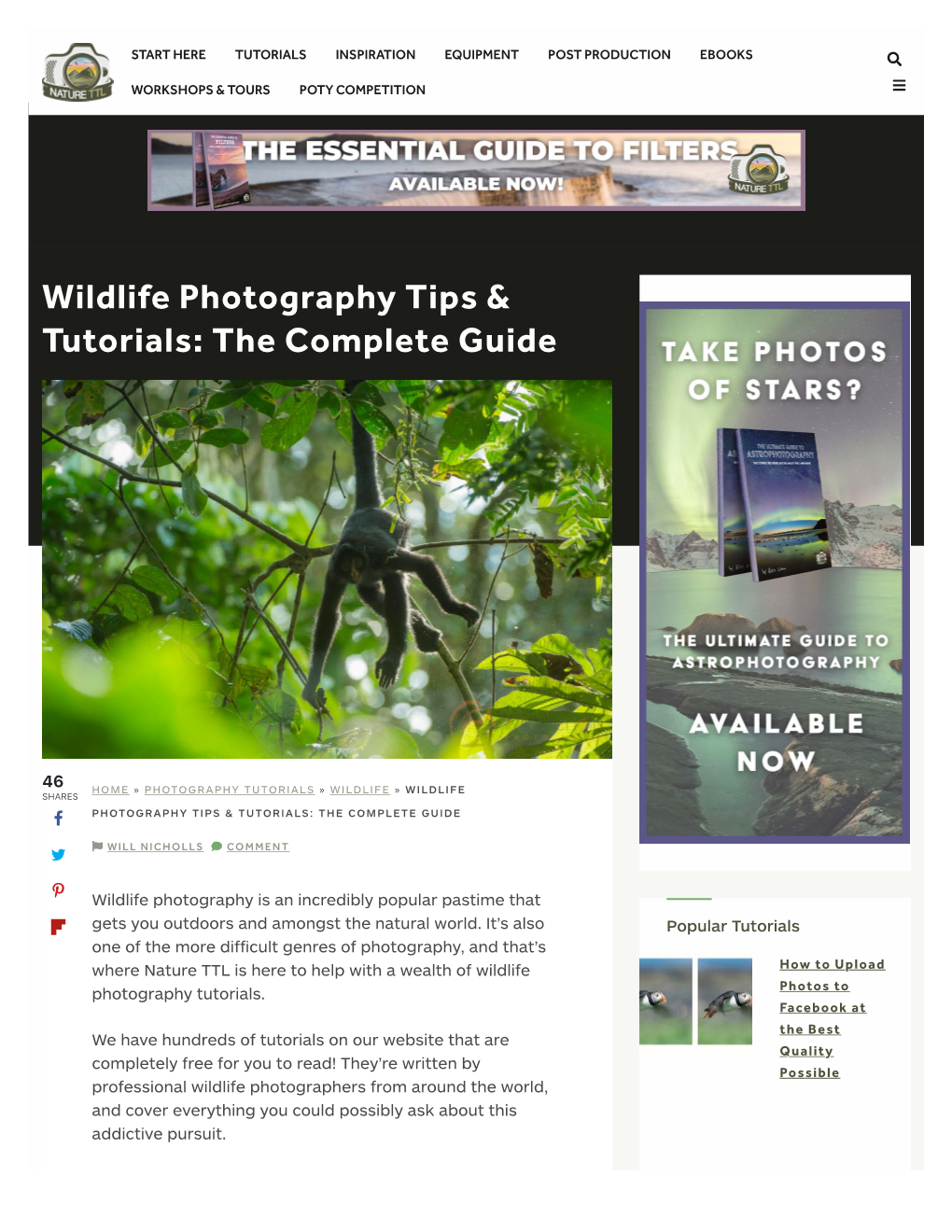 Wildlife Photography Tips & Tutorials: the Complete Guide | Nature