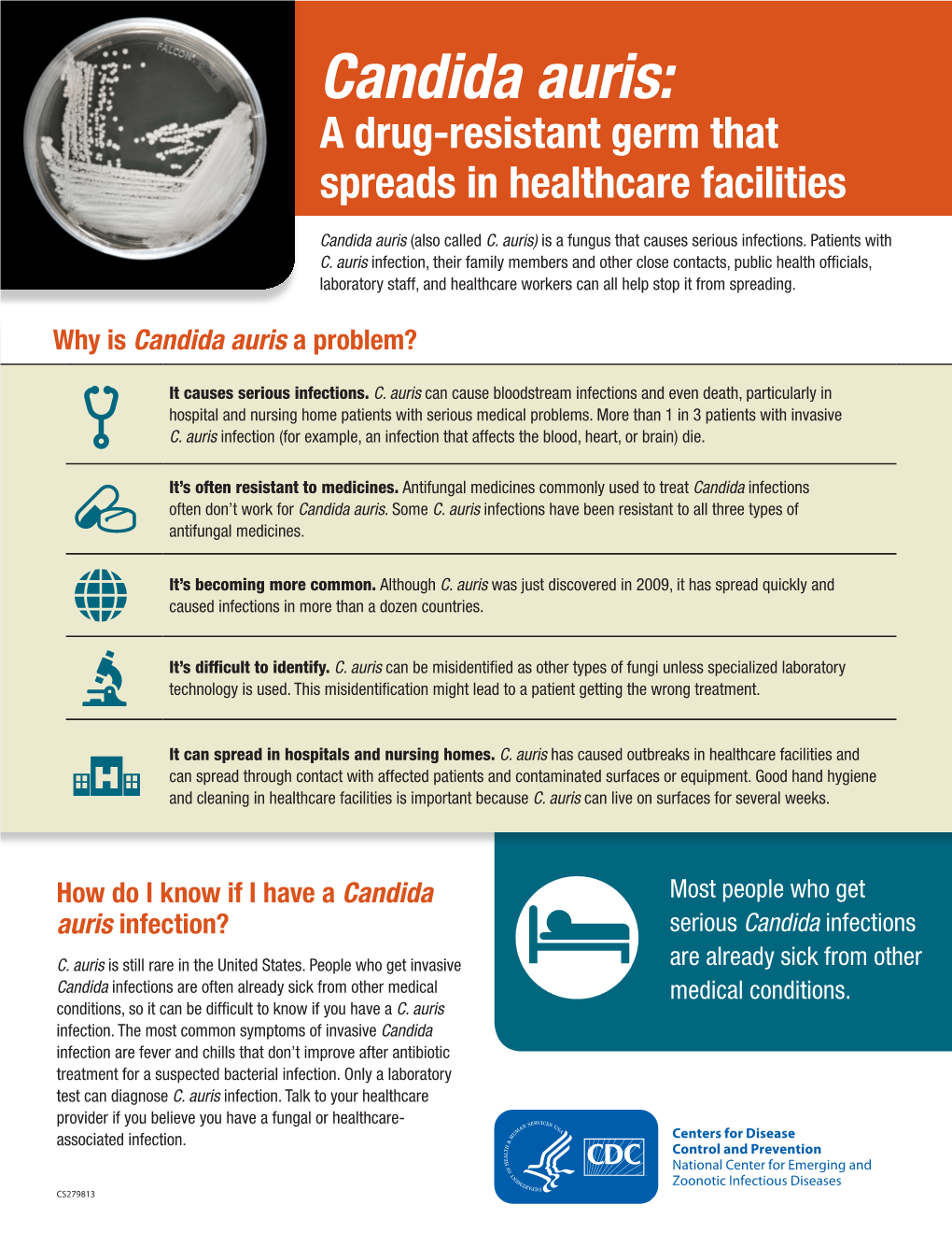 Candida Auris: a Drug-Resistant Germ That Spreads in Healthcare Facilities