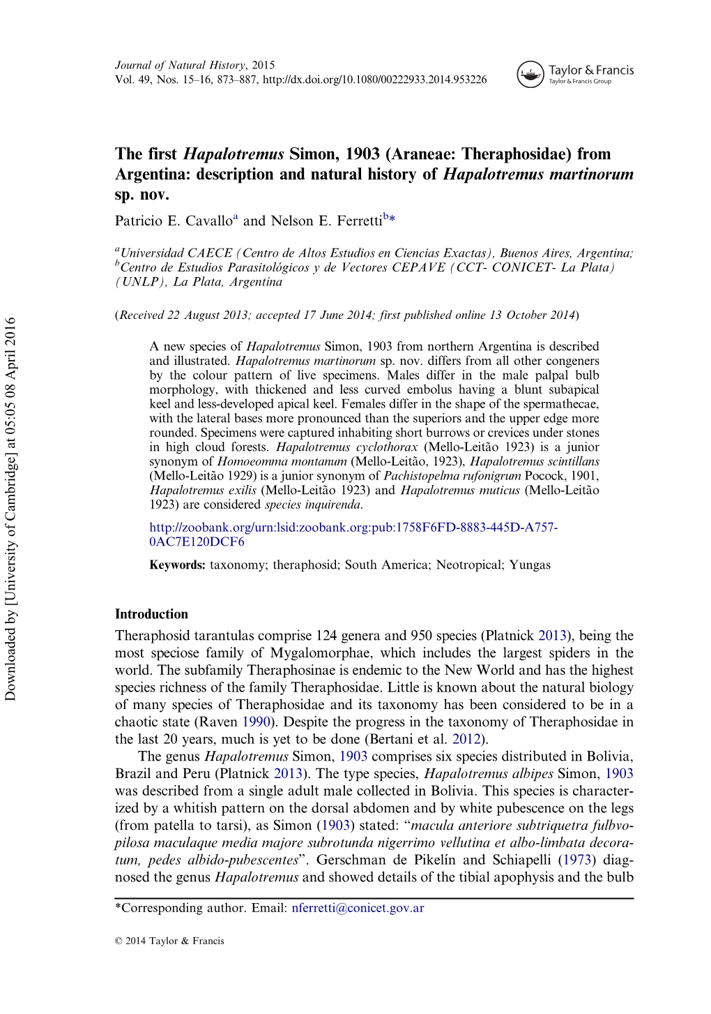 Araneae: Theraphosidae) from Argentina: Description and Natural History of Hapalotremus Martinorum Sp