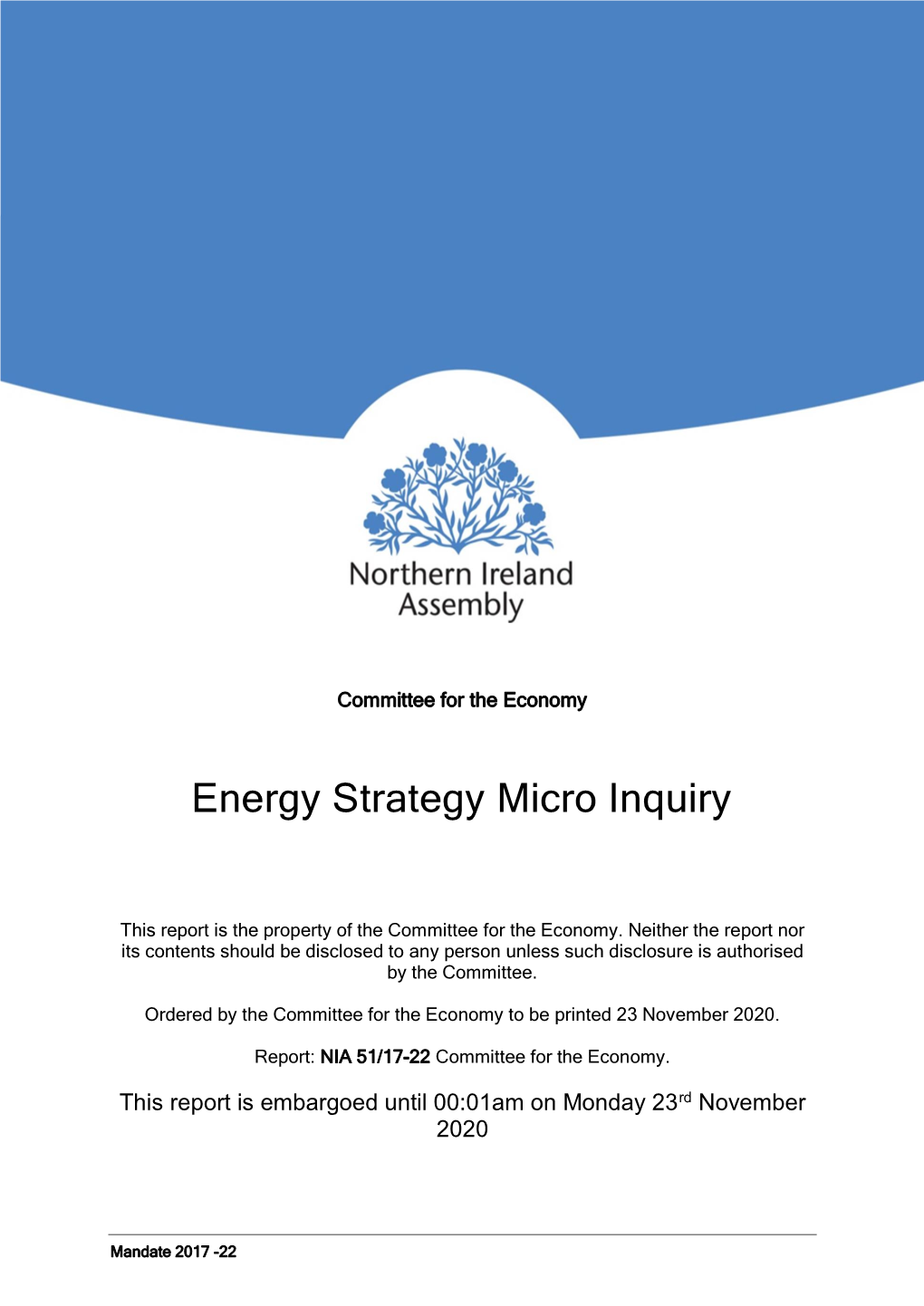 Energy Strategy Micro Inquiry Report