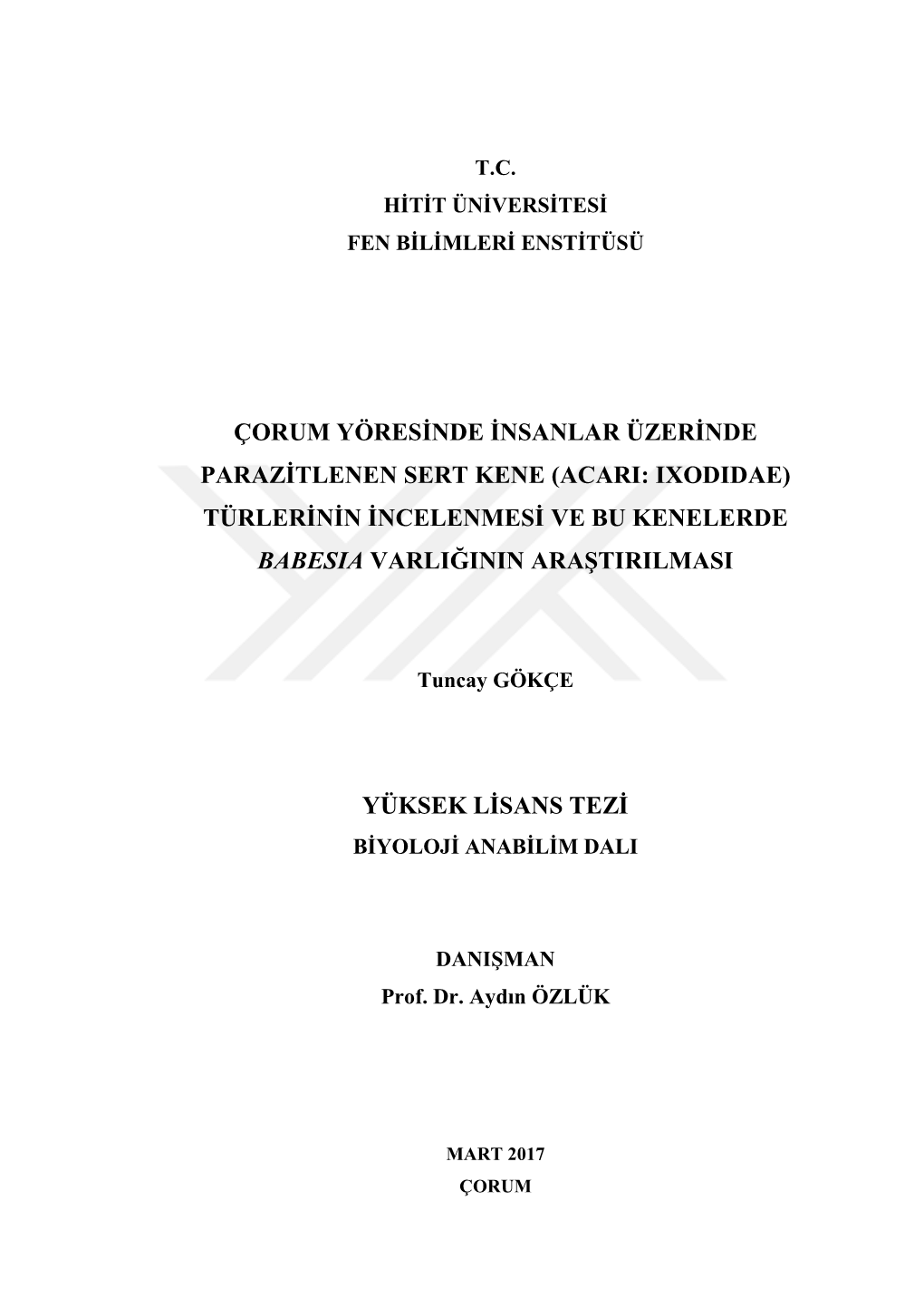 Acari: Ixodidae) Türlerinin Incelenmesi Ve Bu Kenelerde Babesia Varliğinin Araştirilmasi