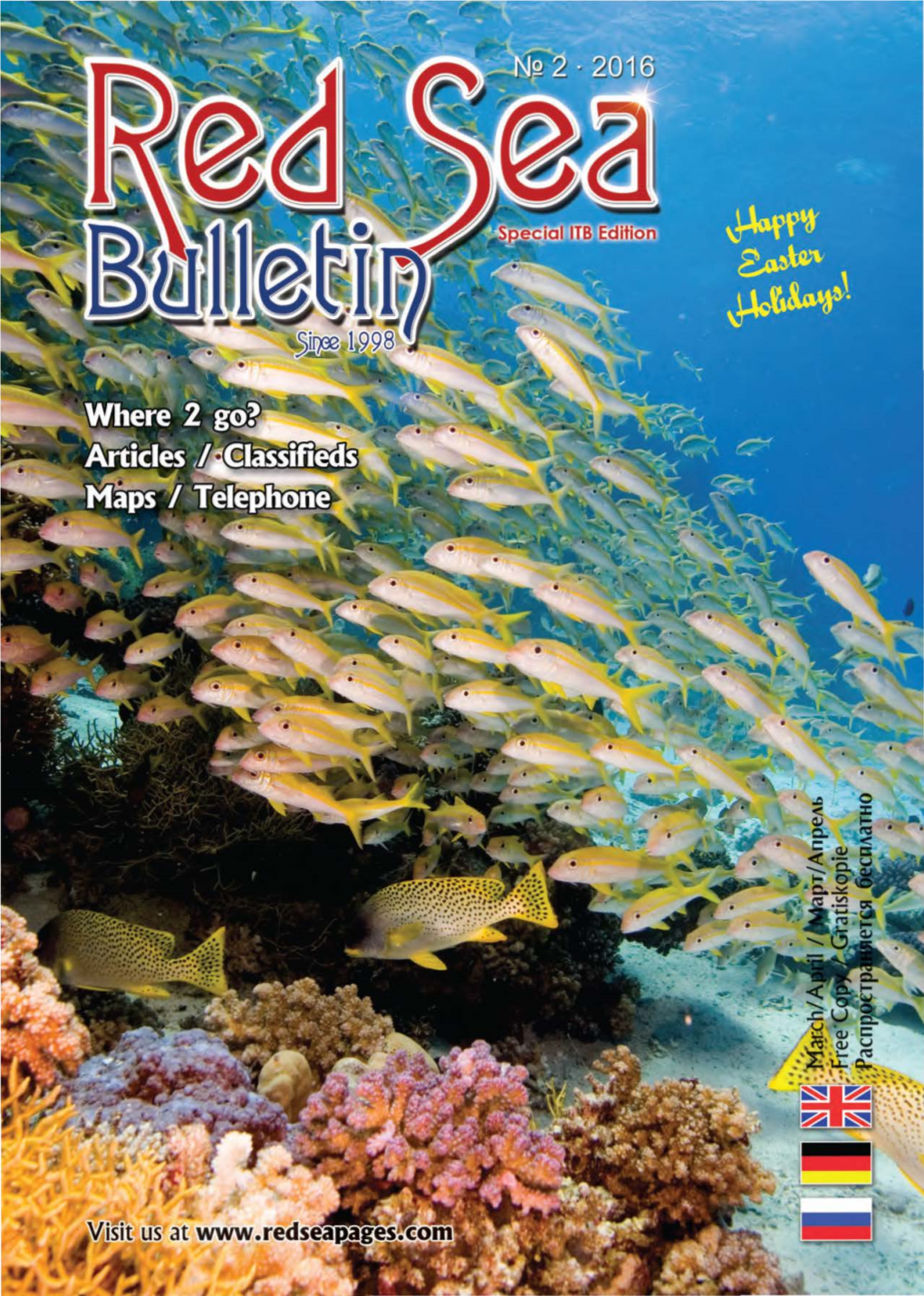 Red Sea Bulletin Ltd 11 Designed by 3D Abdoo Web Design & Development