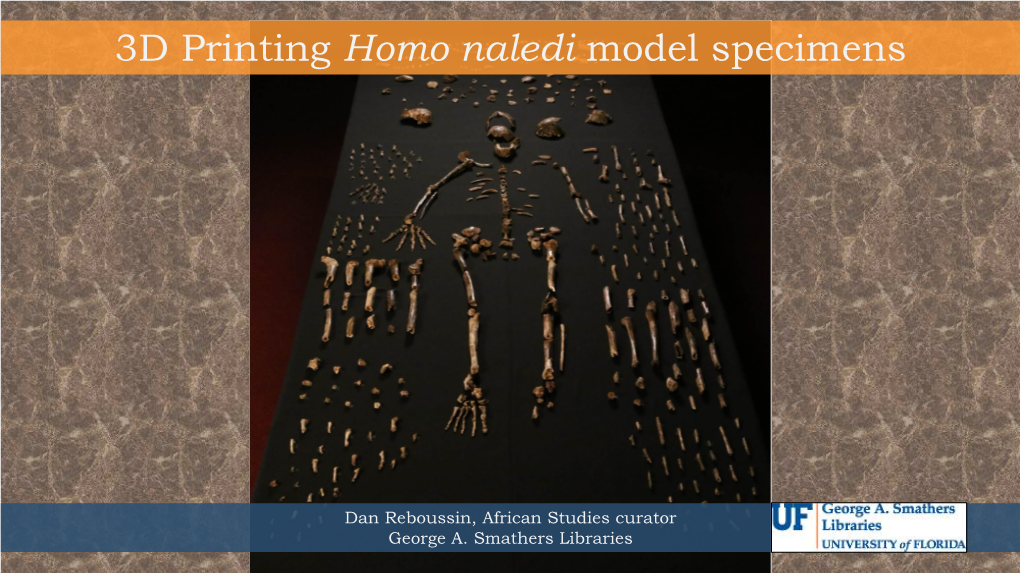 Homo Naledi Model Specimens