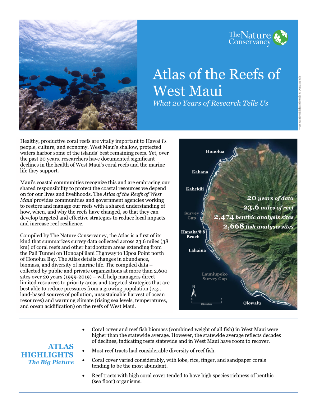 Reefs of West Maui 2 Pager