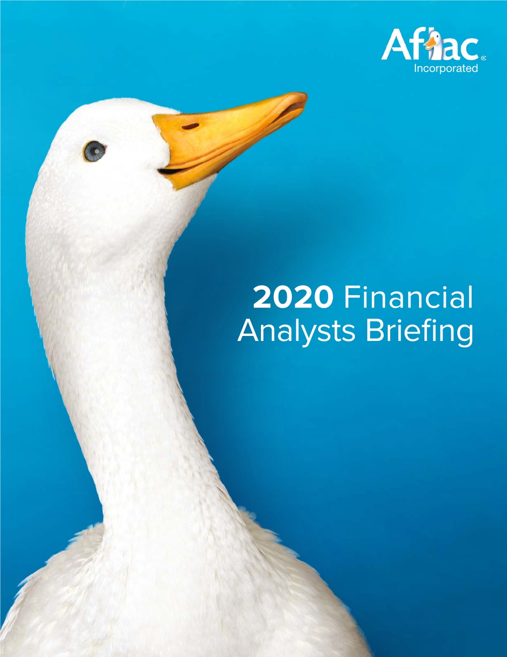 2020 Financial Analysts Briefing