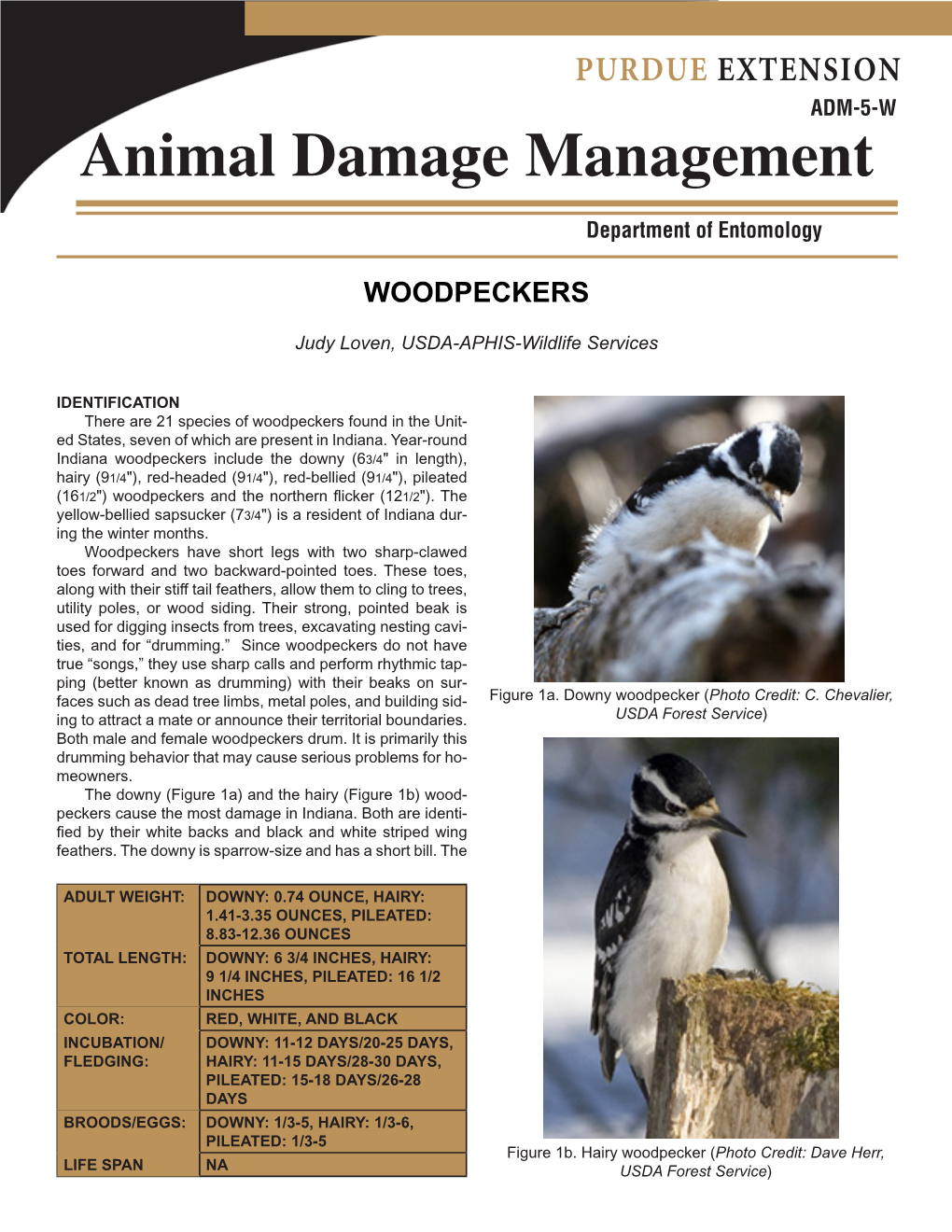 Animal Damage Manag Ement Department of Entomology �