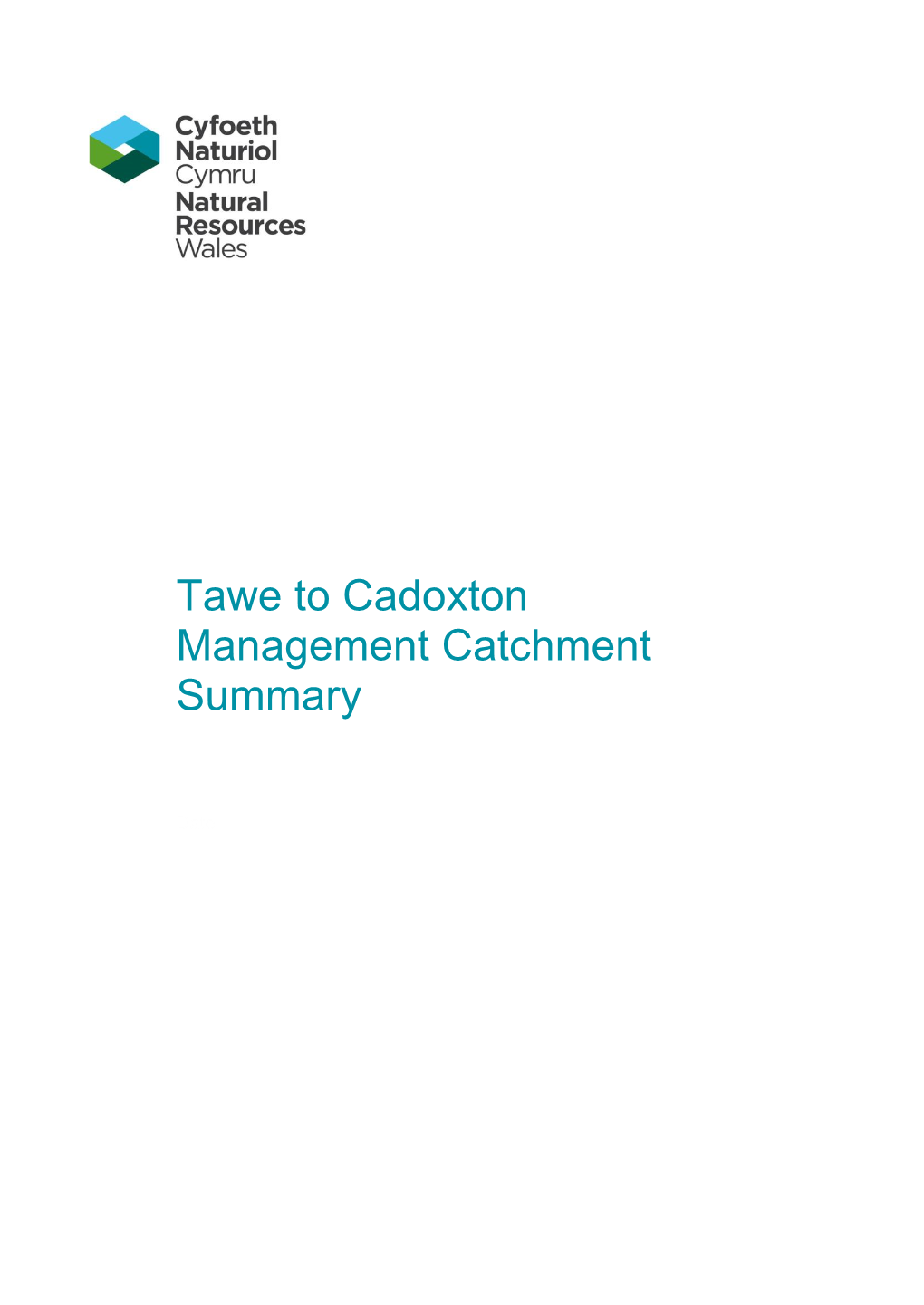 Tawe to Cadoxton Management Catchment Summary