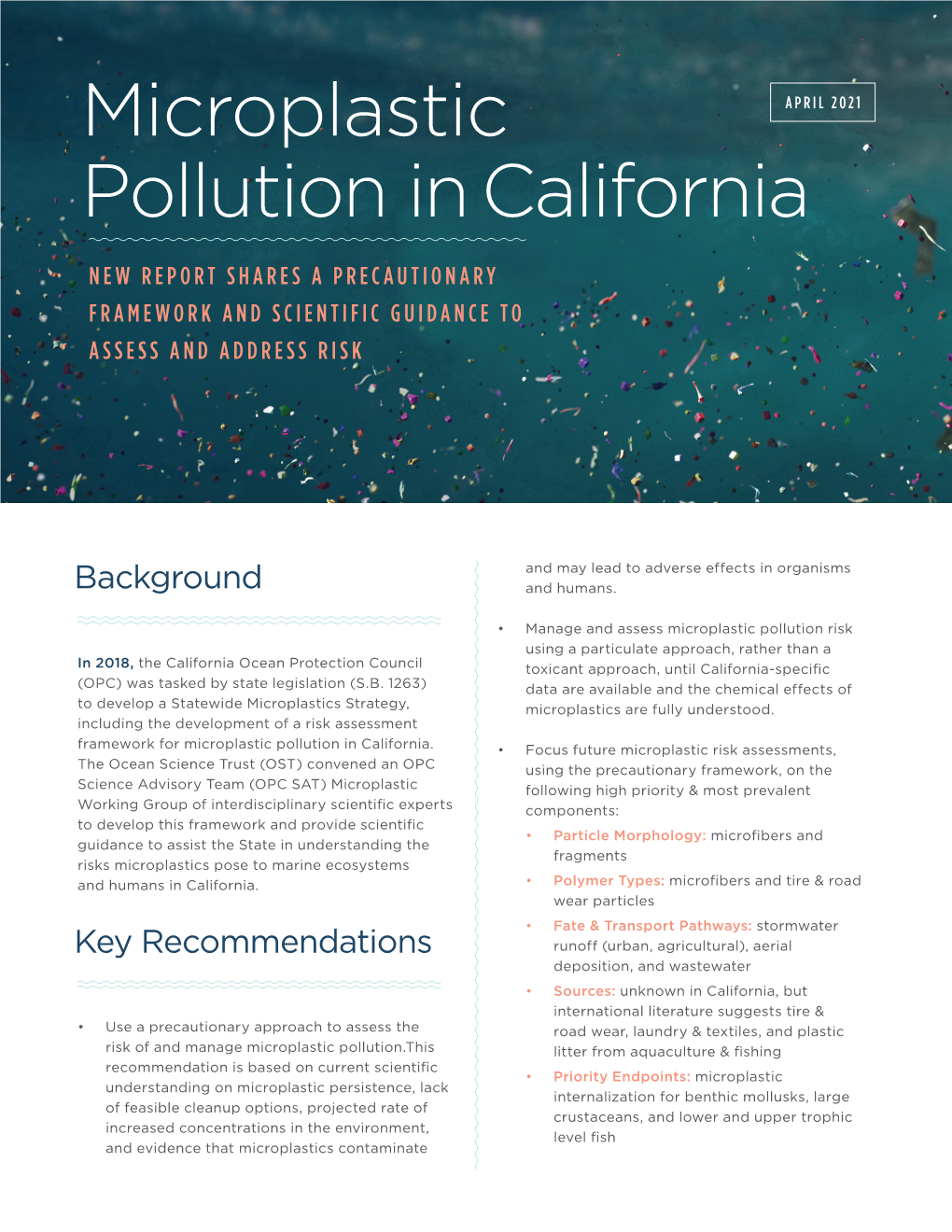 Microplastic Pollution in California