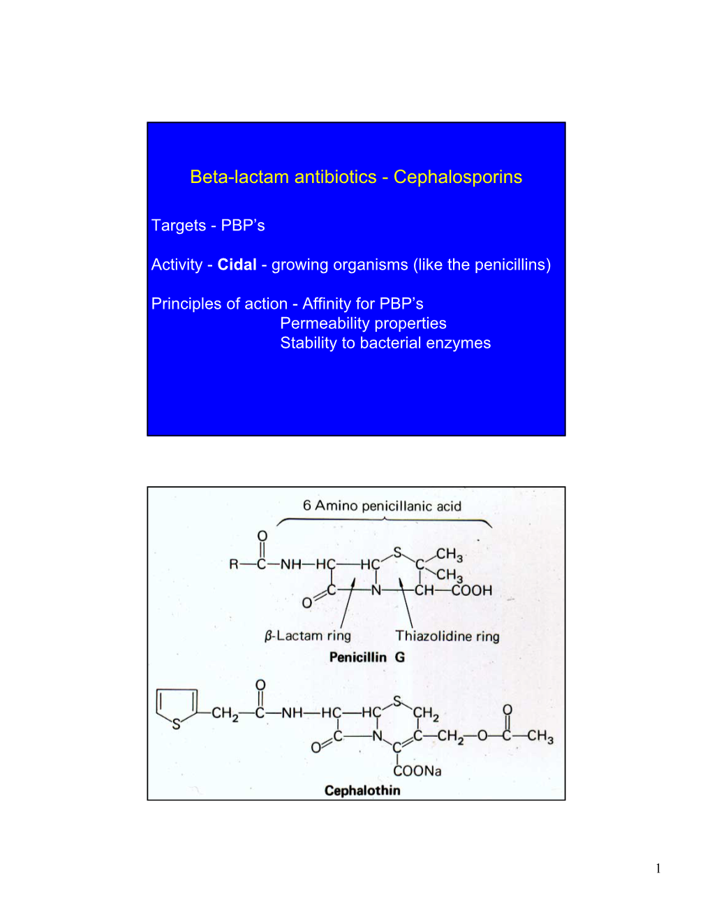 Beta-Lactam Antibiotics - Cephalosporins