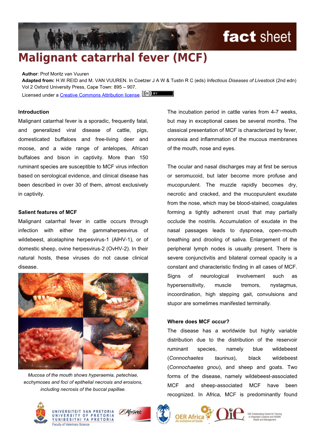 Salient Features of MCF