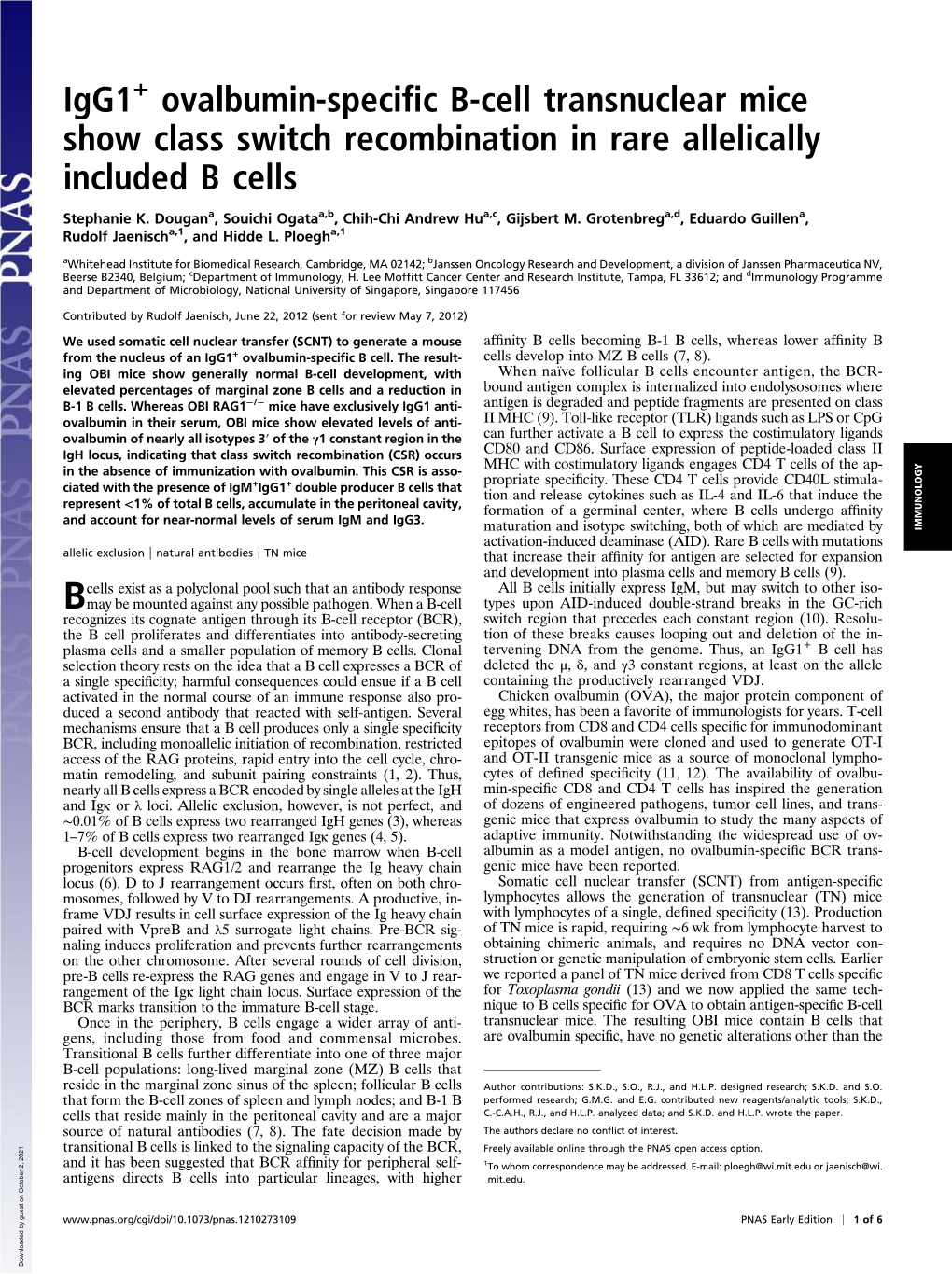 Igg1 Ovalbumin-Specific B-Cell Transnuclear Mice Show