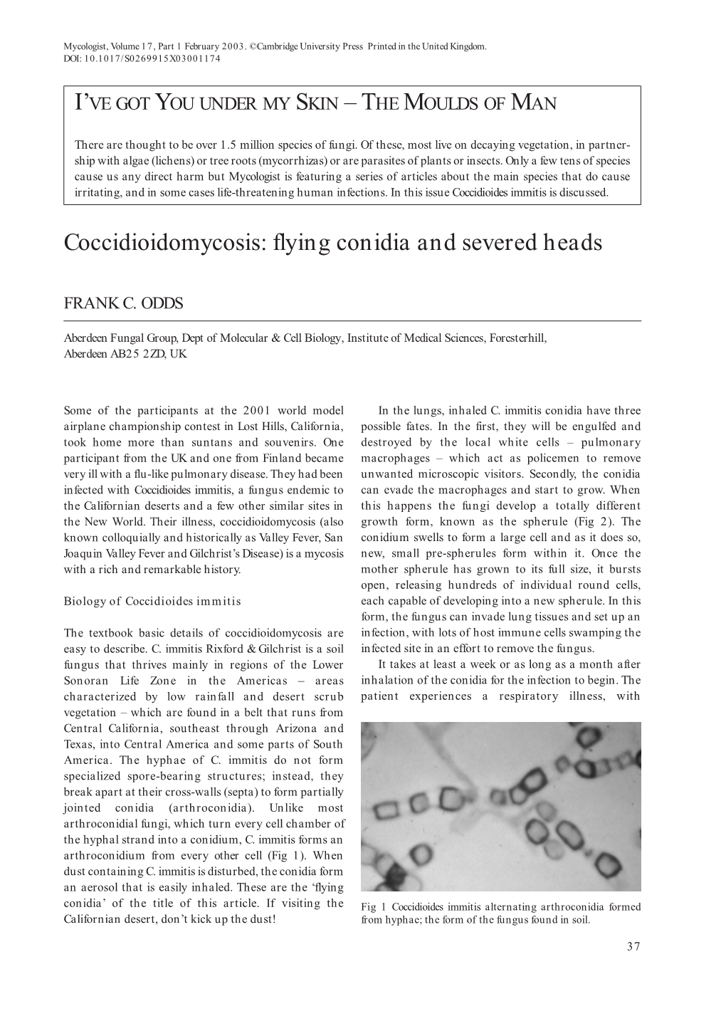 Coccidioidomycosis: Flying Conidia and Severed Heads