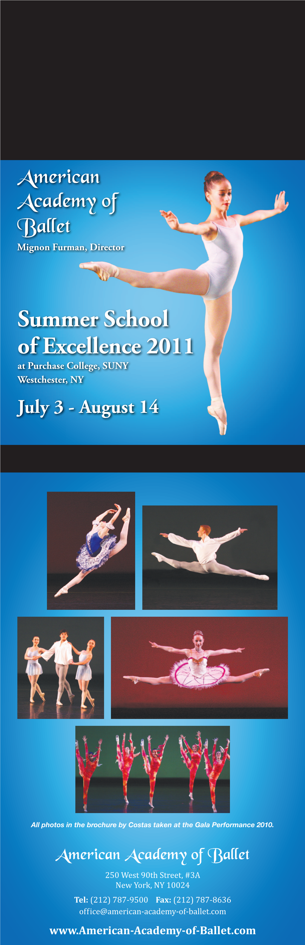 Summer School of Excellence 2011 at Purchase College, SUNY Westchester, NY July 3 - August 14