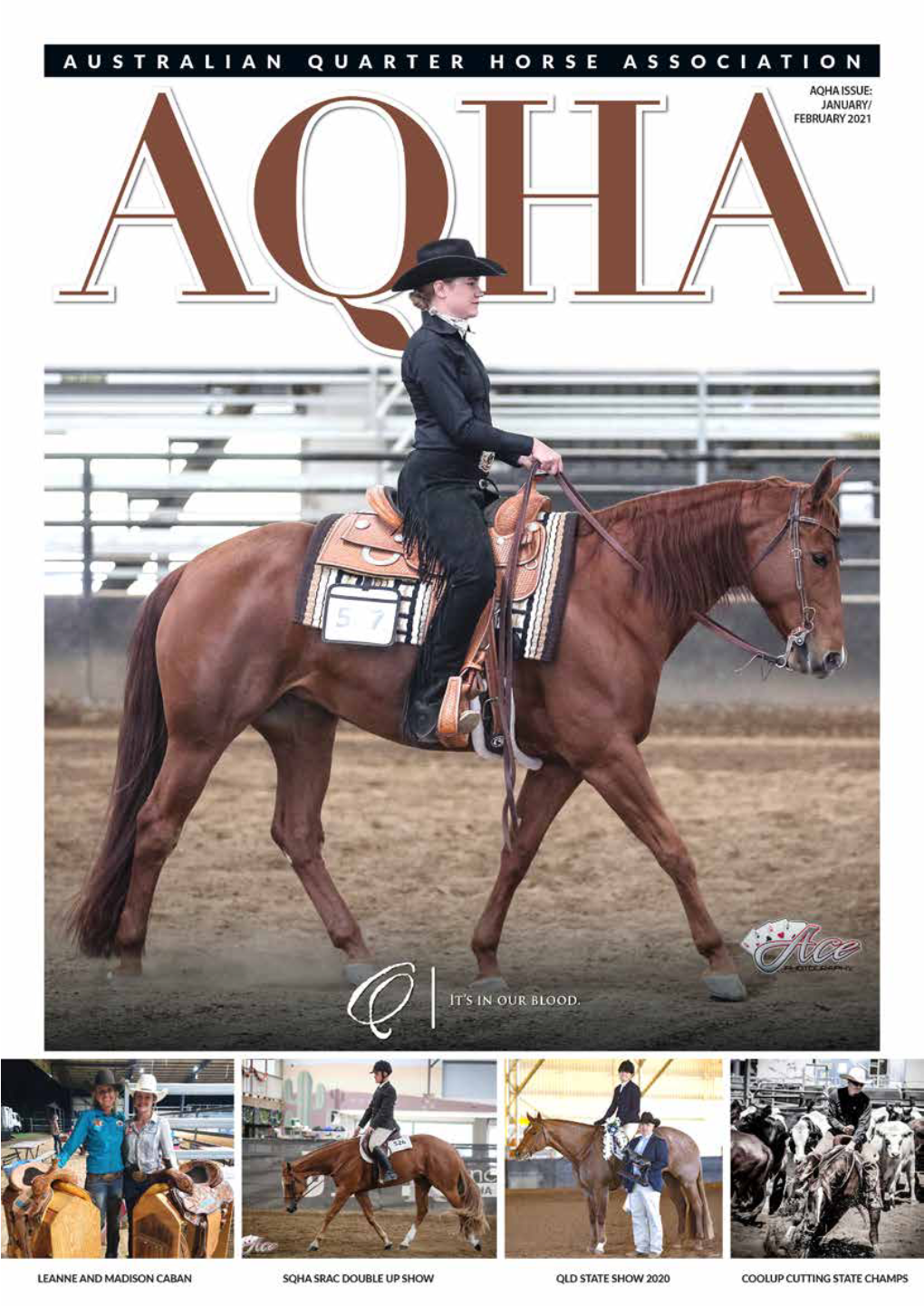 AQHA Jan-Feb 2021 WEB NEW.Pdf