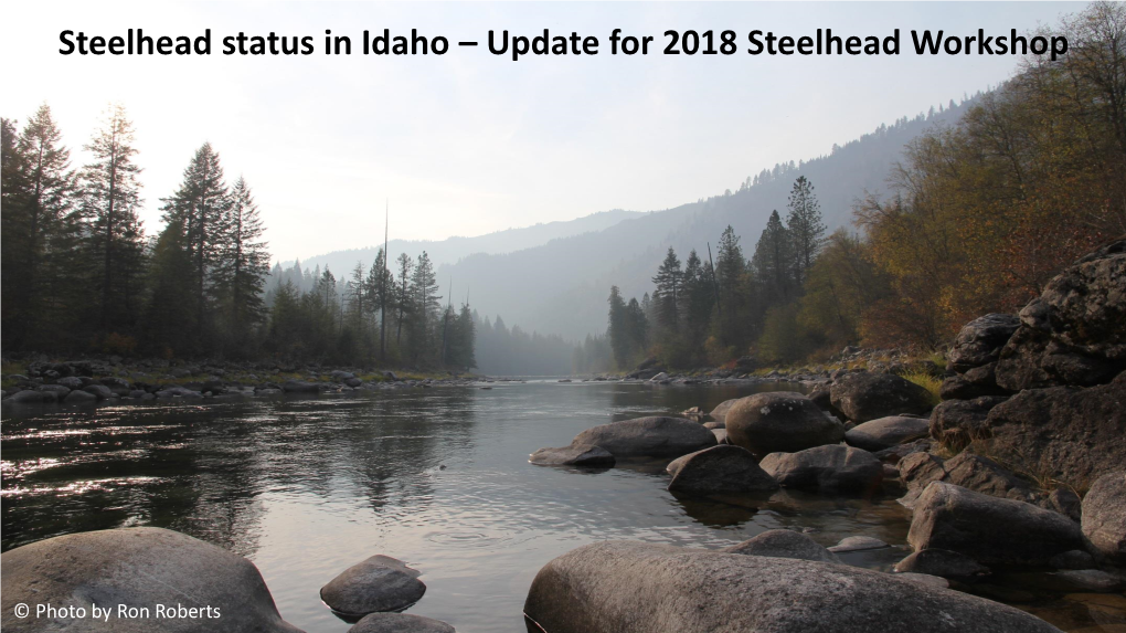 Steelhead Status in Idaho – Update for 2018 Steelhead Workshop