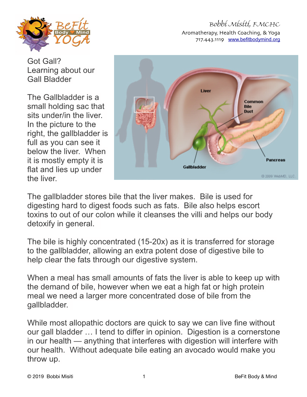 Gall Bladder