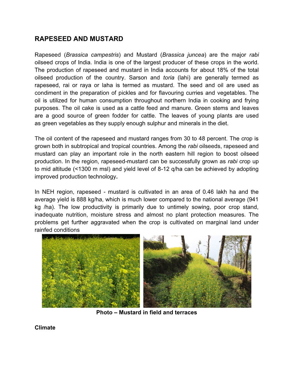 RAPESEED and MUSTARD.Pdf