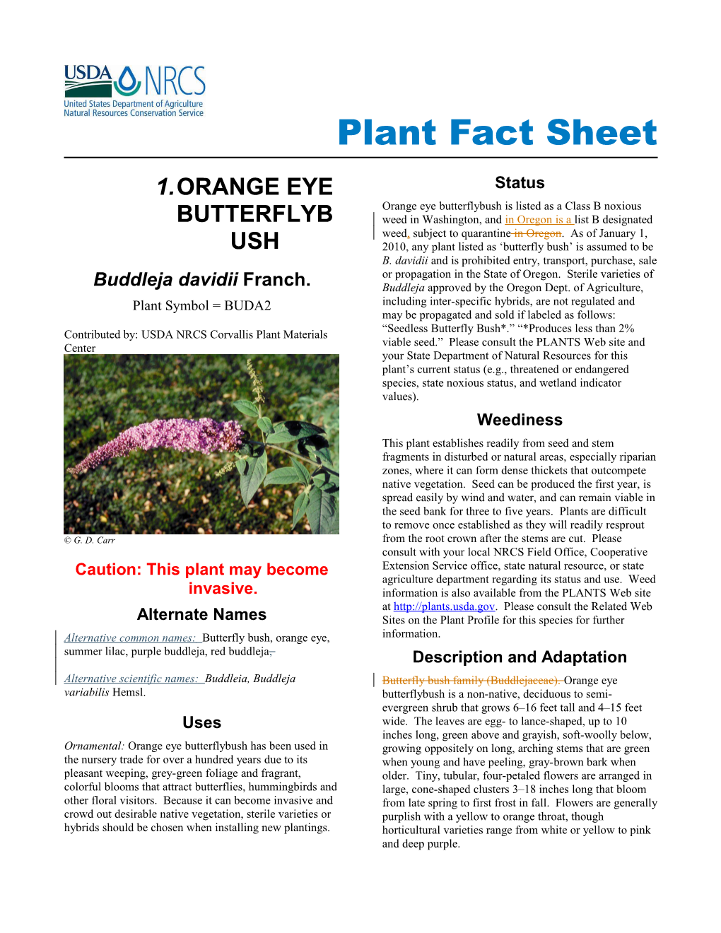 Orange Eye Butterflybush (Buddleja Davidii) Plant Fact Sheet