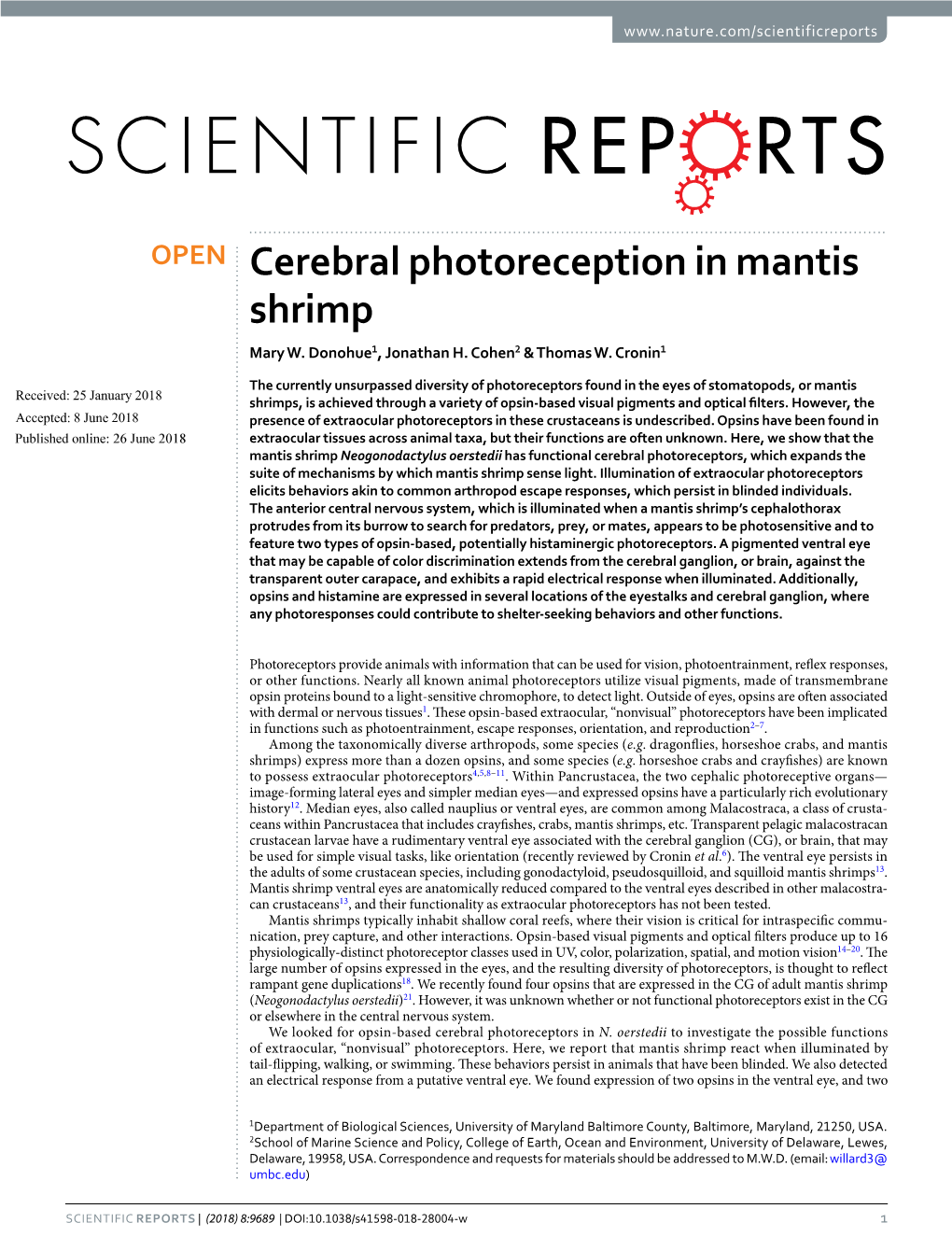 Cerebral Photoreception in Mantis Shrimp Mary W