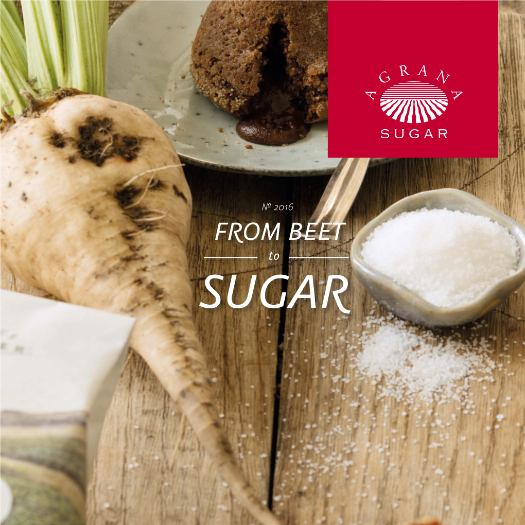 FROM BEET SUGAR To