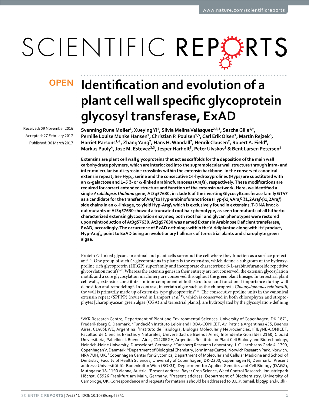 Identification and Evolution of a Plant Cell Wall Specific Glycoprotein