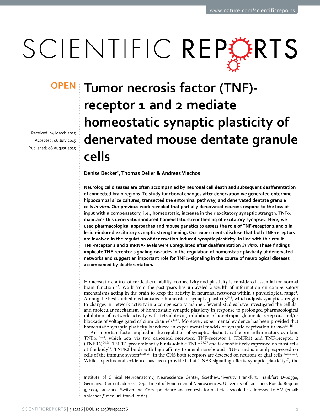 Tumor Necrosis Factor (TNF)-Receptor 1 and 2 Mediate Homeostatic Synaptic Plasticity of Denervated Mouse Dentate Granule Cells