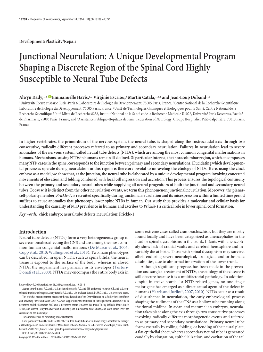 Junctional Neurulation: a Unique Developmental Program Shaping a Discrete Region of the Spinal Cord Highly Susceptible to Neural Tube Defects